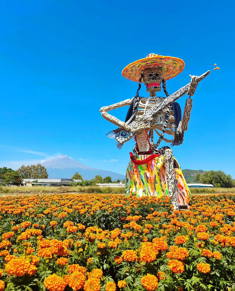 Adelita - Catrinas en Atlixco